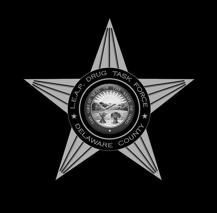 Delaware County Drug Task Force-L.E.A.P logo