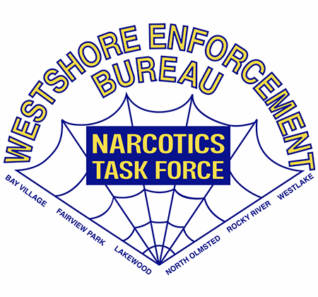 WEB DRUG TASK FORCE logo